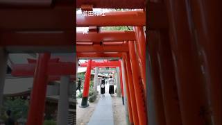 櫛田神社 福岡自由行 [upl. by Circosta790]