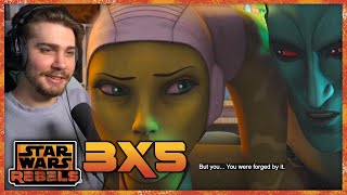 Star Wars REBELS 3x5 REACTION quotHeras Heroesquot [upl. by Enelhtac90]