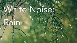 Rain Sounds for Relaxing Focus or Deep Sleep  Nature White Noise  8 Hour Video [upl. by Carlynn]