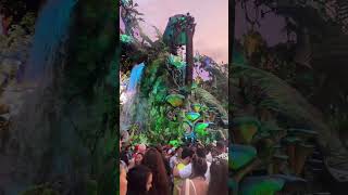 Tomorrowland 2024 Sunsets amp Best Moments tomorrowland2024 [upl. by Paza781]