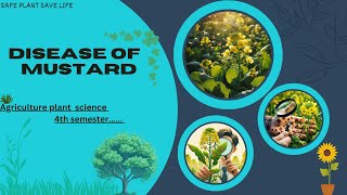 Common Diseases of Mustard Plants [upl. by Carrick]