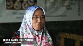 Agropreneur Muda Tanaman Cendawan  Nurul Hakimi binti Shahri [upl. by Trevethick467]