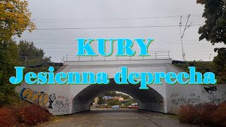 Kury  Jesienna deprecha teledysk amatorski [upl. by Steck]