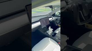 暑すぎるテスラの車内をどうにかしたい時 テスラ tesla モデル3 モデルy 夏 エアコン ev [upl. by Otrebmuh259]