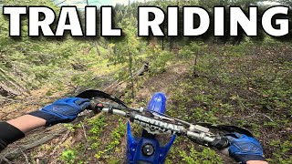 Exploring Trails On YZ250 2 Stroke [upl. by Newel]