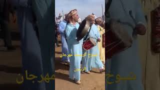 مهرجان الزيتون شيوخ ݣرسيف بشارا الصغير chyoukh guercif [upl. by Merce]