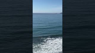 saltwater oregoncoast pacificocean pacificcoast waves sea viralvideo [upl. by Ahselet]