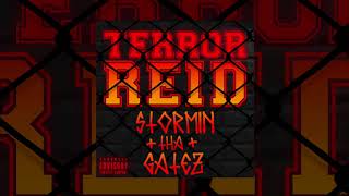 Terror Reid  Stormin Tha Gatez [upl. by Kcire560]