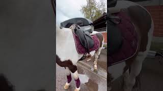 Vlog🐴🥰 pferdemädchen reiter pony fyppferdeliebe reiten [upl. by Fancy]