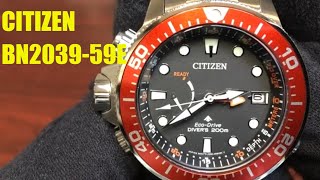 Citizen EcoDrive Promaster Aqualand Divers Depth Sensor Watch BN203959E [upl. by Eanom]