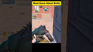 you must know about wolfy [upl. by Dana]