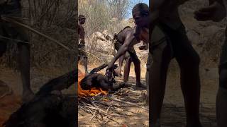 Cooking a giant baboonfoodbaboonAfricahadzabetribe [upl. by Nitniuq920]