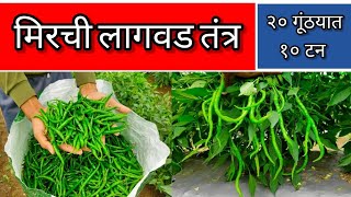 मिरची लागवड mirchi khat niyojan l mirchi lagwad marathi l mirchi lagwad kashi karavi l [upl. by Cas]