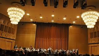 Mendelssohn Concerto clip  Leipzig Gewandhaus Leonid Sushansky violin Anima Musicae Orchestra [upl. by Pippy]