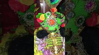 Sawariyo hai seth🙏💕radhekrishna bankebiharitummeresarkarho song shyam sorts mathura [upl. by Nytsirc]