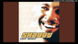 Shaggy Rikrok  It Wasnt Me Official Acapella [upl. by Jennine]