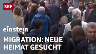 Migration amp Menschenströme – wie die neue Heimat Gesellschaften beeinflusst  Einstein  SRF [upl. by Africah579]