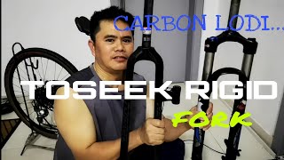 TOSEEK RIGID CARBON FIBER FORK SETUP for MTB Vlog  122 [upl. by Ennovad14]