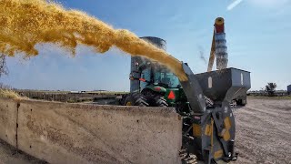 Wet Corn Harvest [upl. by Earla]