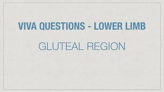 VIVA QUESTIONS  GLUTEAL REGION [upl. by Seta]