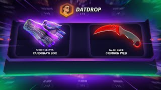 CAN I WIN ONE BATTLE ROYALE DatDrop [upl. by Felske995]