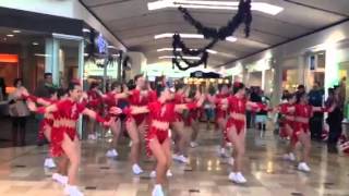 Harrison Dancers at Exton Square Mall [upl. by Pessa651]