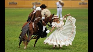 MARINERA CON CABALLO DE PASO PERUANO ELEGANTE [upl. by Aroc]