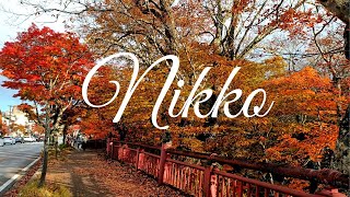 Daytrip at Nikko Autumn  Japan  Bonz Voyage [upl. by Hakceber]