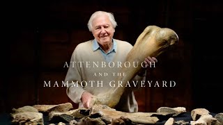 Attenborough and the Mammoth Graveyard [upl. by Craddock]