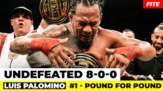 Explosive Knockouts and Unmatched Dominance The Rise of Luis Palomino in BKFC poundforpound [upl. by Ramunni]