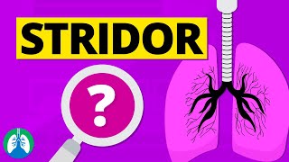 Stridor Abnormal Lung Sounds  Causes and Treatment [upl. by Ayotak]