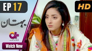 Pakistani Drama  Bohtan  Episode 17  Aplus Dramas  Sanam Chaudry Abid Ali Arslan Faisal  C2X1 [upl. by Haelam529]