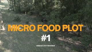 Micro food plot1 [upl. by Alford]