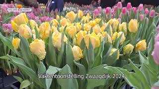 Vaktentoonstelling Zwaagdijk 2024 [upl. by Nangatrad]