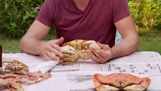 How to Eat a Crab [upl. by Porcia]