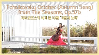 차이코프스키 사계 중 10월 ‘가을의 노래’ Tchaikovsky “October” Autumn Song from The Seasons Op37b [upl. by Dorie]