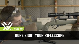 How To Bore Sight Your Rifle [upl. by Eiramanna]