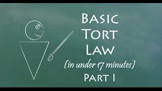 Understand Tort Law in 17 Minutes Part I [upl. by Evy266]