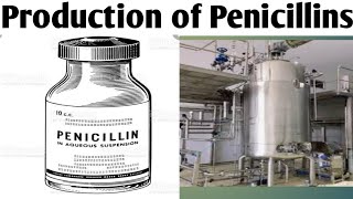 Production of Penicillin Biotechnology Unit 5  B Pharm 6 Sem productionofpenicillins [upl. by Northway756]