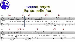 Paul Potts  Nessun dorma karaoke version sheet music for playerschorus addedYe karaoke [upl. by Adnahsat]