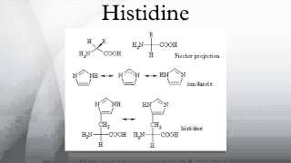 Histidine [upl. by Ahsenaj]