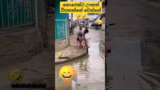 හොරෙක් ට වුනත් විපතක්නේ වුනේ 🤣🤣viralvideo youtubeshorts comedy shorts [upl. by Nico]