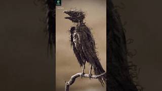 The Scariest Bird Sounds In The World😱😱birds creepy scared horrorsounds horrorshorts facts [upl. by Notsirb]