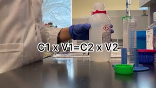 RNA isolation by TRIzol RNA extraction step by step Maximizing total RNA isolation using TRIzol [upl. by Michey362]