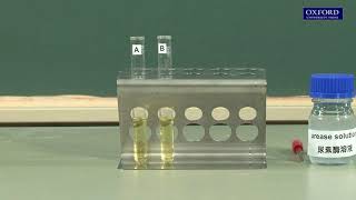 Practical 44 Investigation of the effect of inhibitors on enzyme activity [upl. by Alisha]