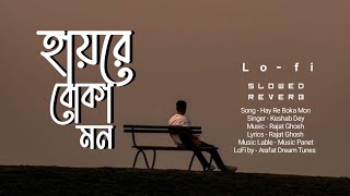 হায়রে বোকা মন 20  Hay Re Boka Mon by LoFi  Slowed amp Reverb Songs  Rajat  Lyrics Album [upl. by Ahsikcin]