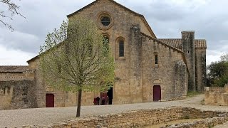 Labbaye de Sylvacane  La Roque dAnthéron  Région Provence Alpes côte dazur  France [upl. by Joachim]