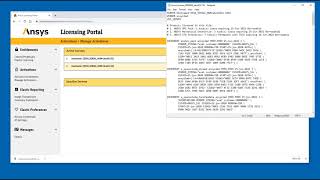 Ansys Licensing Managing Activations [upl. by Trinidad]