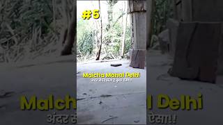 Malcha Mahal delhi अंदर से दिखता है कुछ ऐसा 5  ArbaazVlogs malchamahal delhihistoricalplaces [upl. by Arissa]