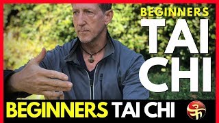 The Expanding Arm  Beginners Tai Chi  Learn Tai Chi at Home [upl. by Terena]